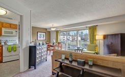 Studio Apartments for Rent Zillow