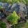 Zillow Nashville TN
